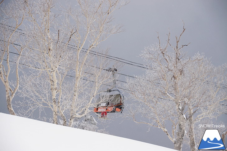 札幌国際スキー場 Welcome back POWDER SNOW !! ～パウダースノー復活～